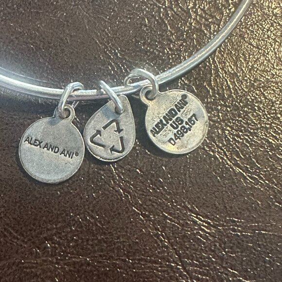 Alex and Ani Because I love you, Sister II Expandable Bangle Bracelet - Picture 5 of 5